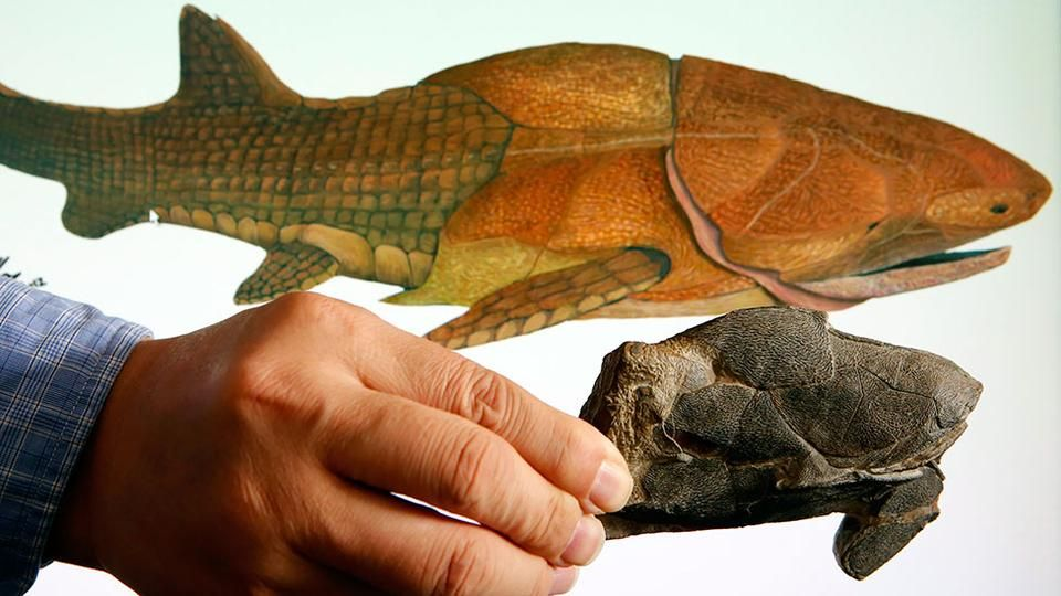 Держи, парень, у тебя челюсть отвалилась. 