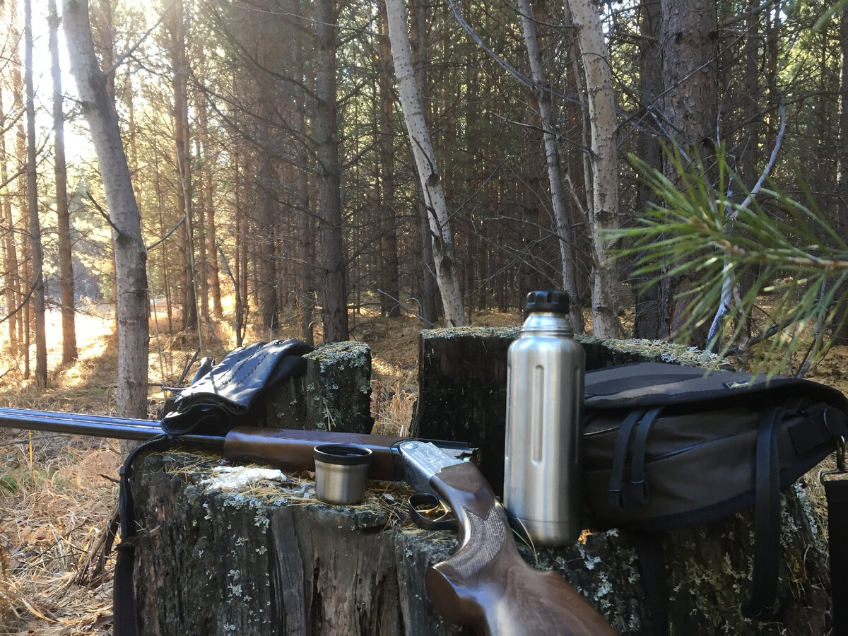 Пенек от старой вырубки. На привалах всегда переламываю ружье, так оно спокойней. Леса тут часто посещаемые, встречи с людьми не редкость.