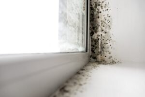    Фото: domovenok.ru. Татьяна Дворянчикова
