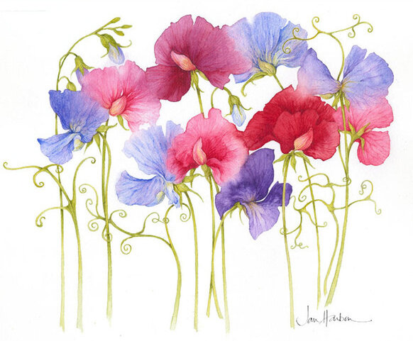 Фото из сети Интернет