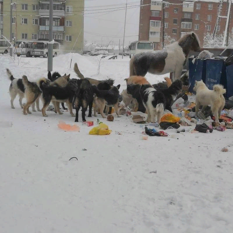 Якутск, Фото из открытых источников