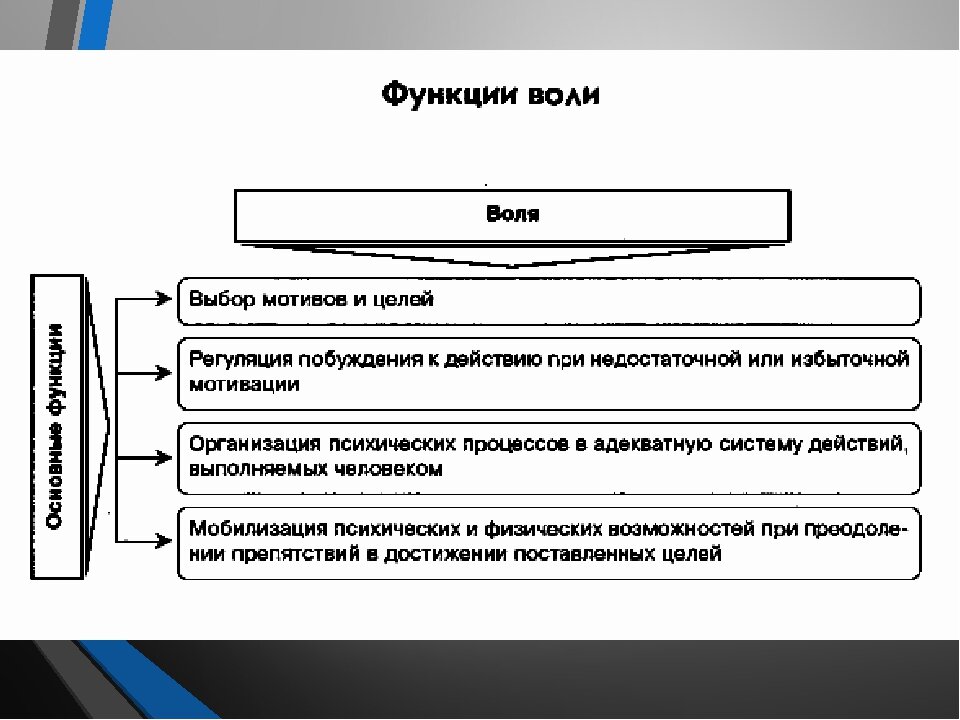 Характеристика воли человека