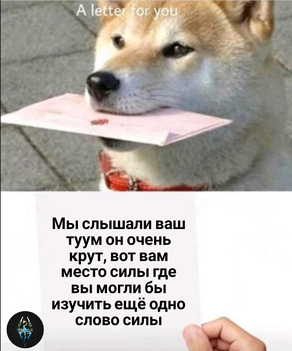 Кричи подальше от города, а то я так скоро оглохну