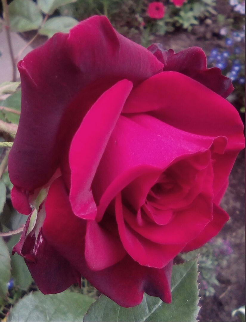 фото Стихи Поэта