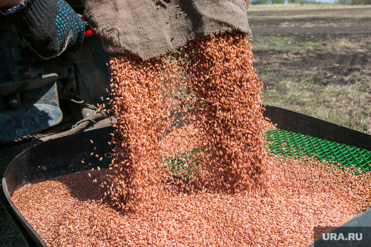    Снятие санкций с Россельхозбанка является гарантией успешного продолжения экспорта зерна