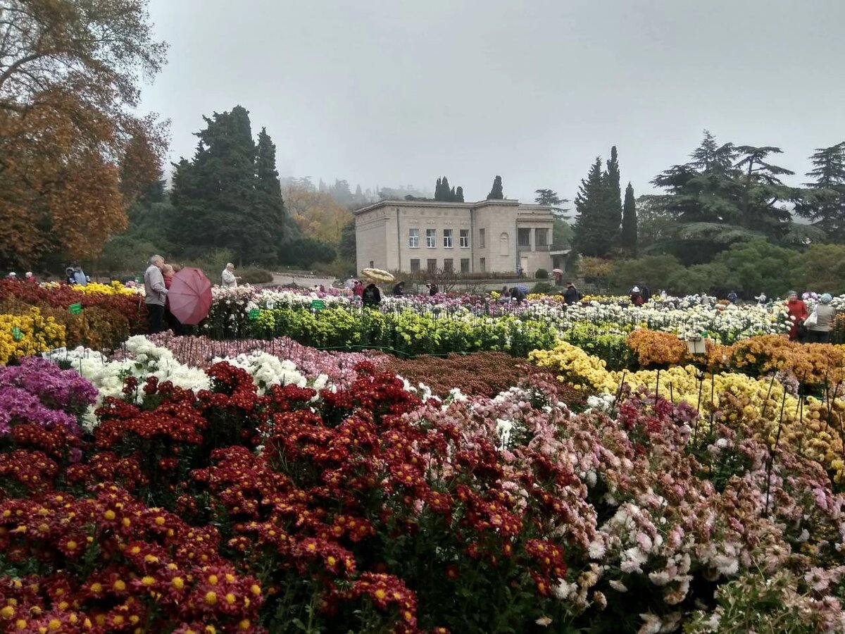 Никитский ботанический сад.