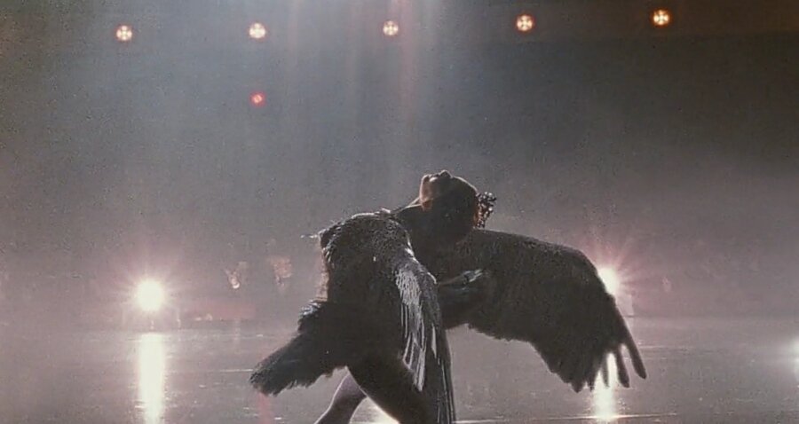 Момент триумфа чёрного лебедя