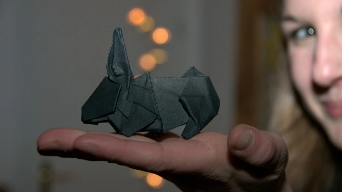 2023 год - год Черного Водяного Кролика. Фото: pxhere.com