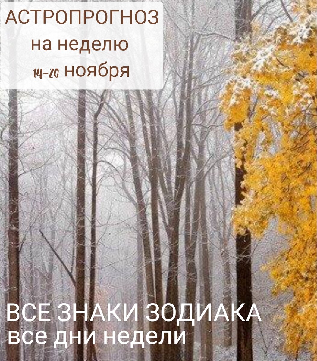 АСТРОПРОГНОЗ НА НЕДЕЛЮ 14-20 НОЯБРЯ. Все знаки Зодиака. Все дни недели. |  АСТРОПРОГНОЗЫ АСТРОПСИХОЛОГИЯ | Дзен