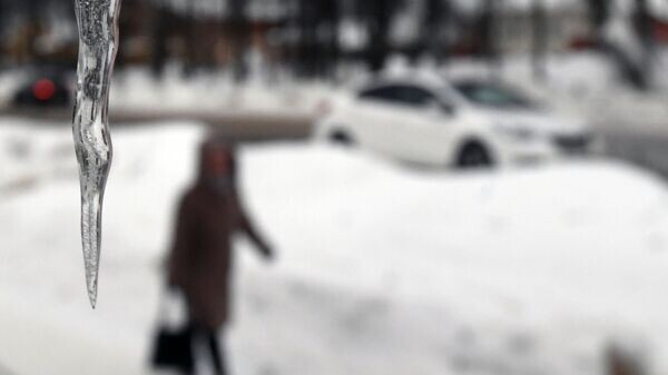   © Sputnik / Kirill Kallinikov