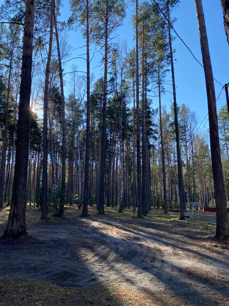 «Чкаловские дачи» в Новосибирске 