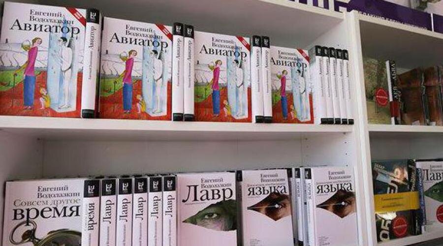 Авиатор 11 читать книгу полностью