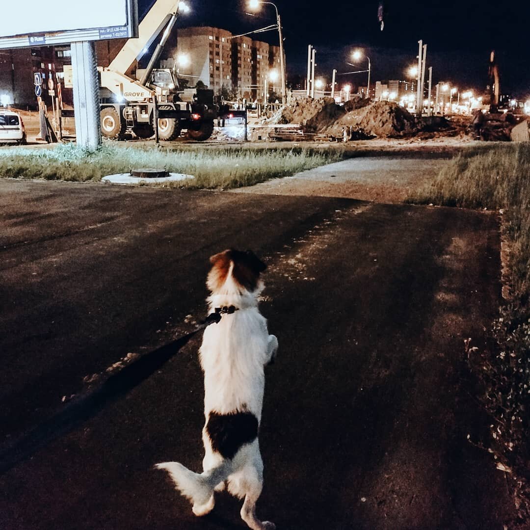 Белка контролирует процесс строительства метро «Дунайская». Фото моё.