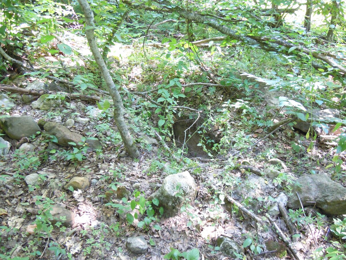 4 сентября 2014 года Теперь о другом. Сейчас на самой восточной Богатырской поляне работают лесозаготовители. Ниже показаны результаты их деятельности.-28