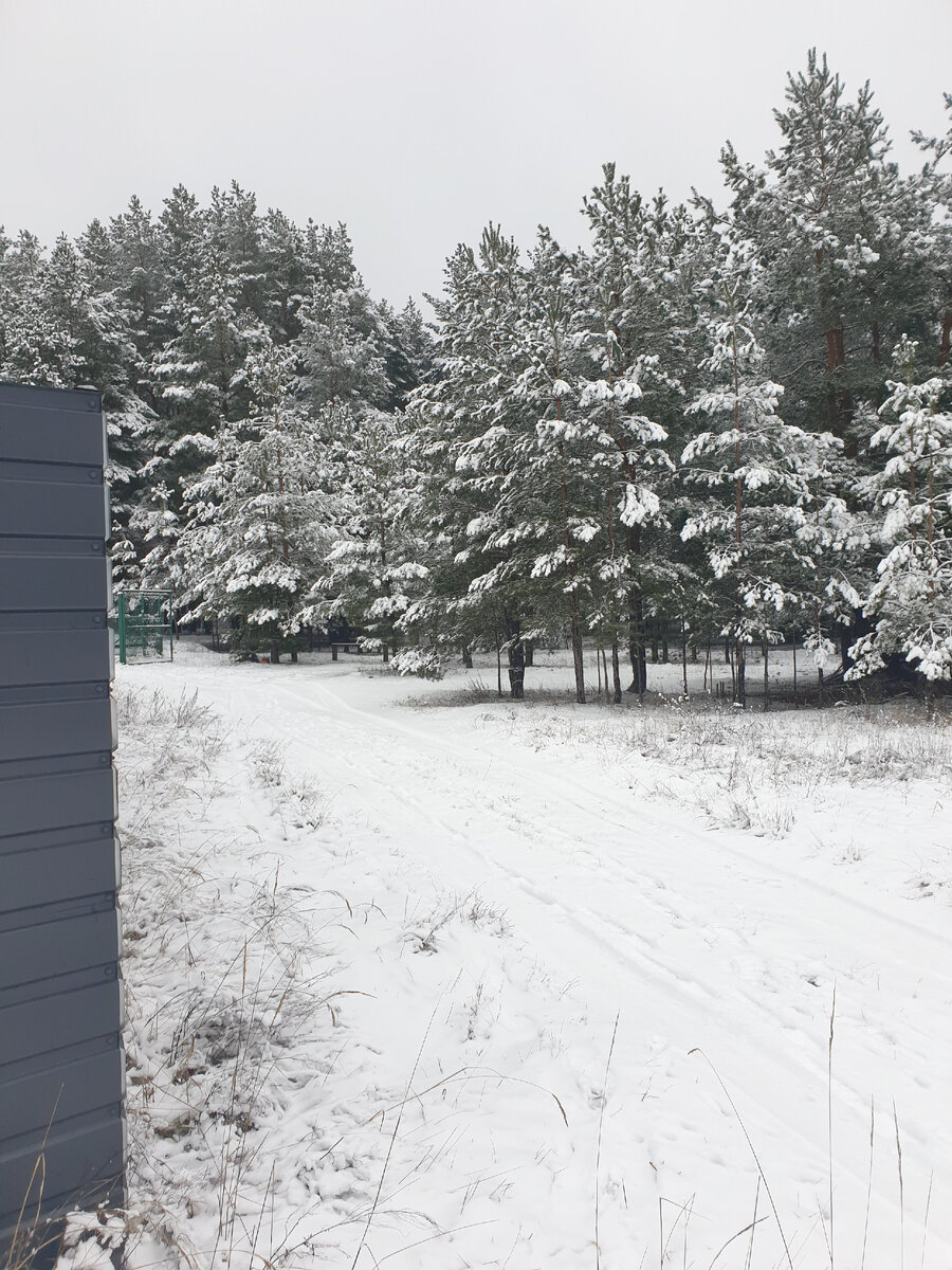 А в городе снега нет