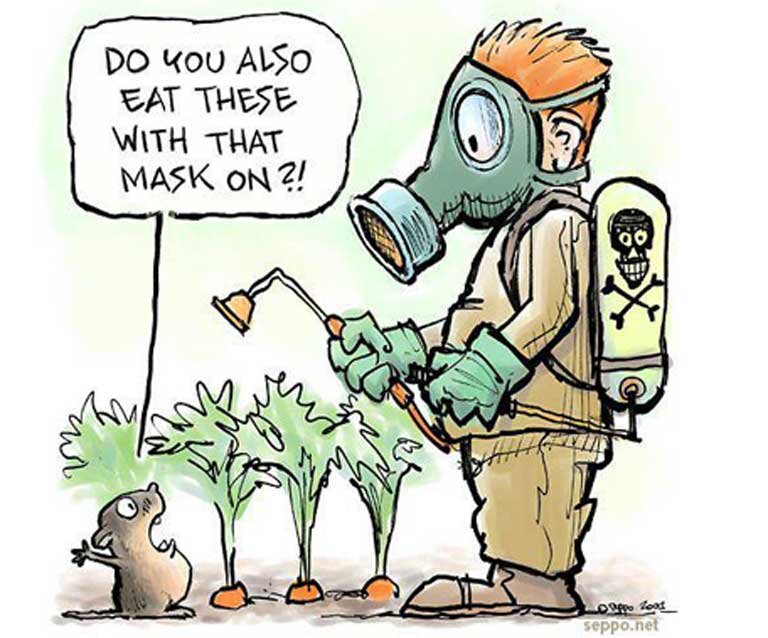 Тема №6. Арбитражный образец | Пищевая безопасность и ХАССП | Дзен