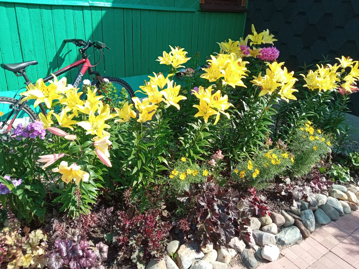 Сейчас уже их столько нет. 