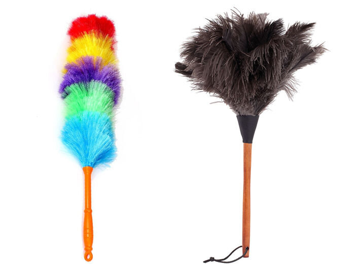 Пипидастры