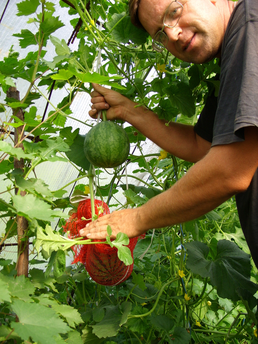 В начале эксперимента.