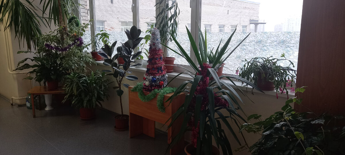 В коридорах больницы празднично.