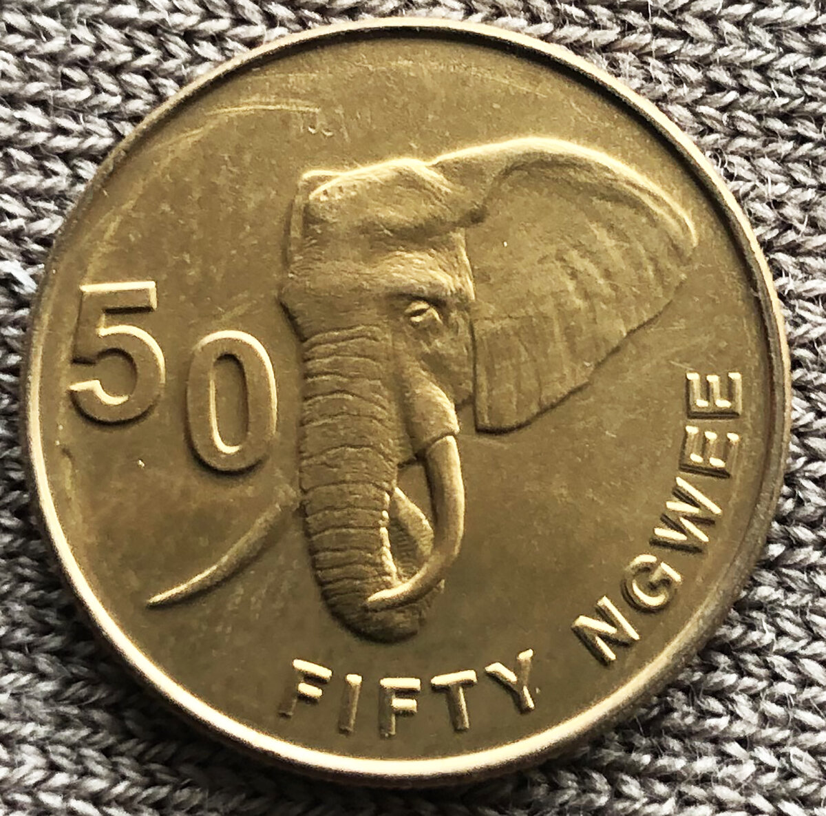 Замбия 50 нгве 2012. Фото автора.