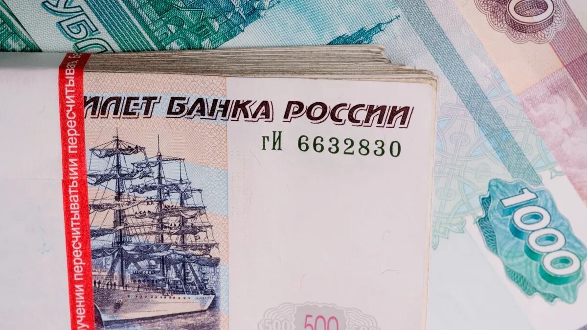 Закон о едином пособии был принят Владимиром Путиным в ноябре 2022 года. Фото: Pxfuel.com