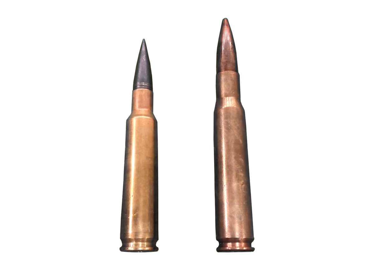 Наглядная демонстрация разницы между двумя боеприпасами. Слева — .460 Steyr, справа — .50 BMG