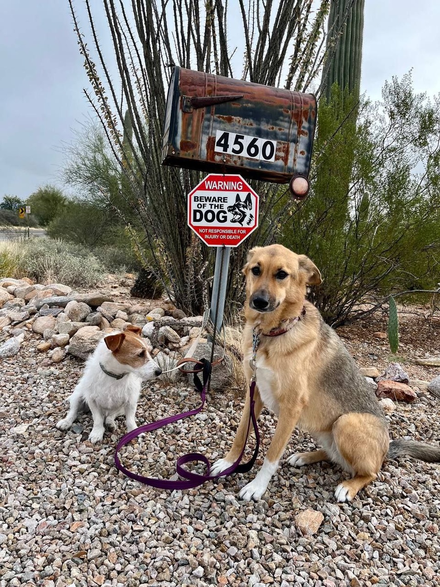 Фото-собственность канала