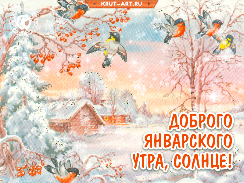 Доброе январское утро прикольные смешные. Доброе январское утро прикольные смешные