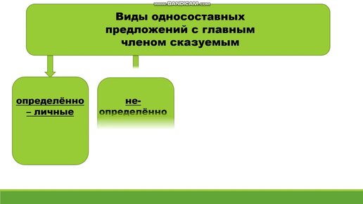 В мире всего 7 видов пениса — врачи