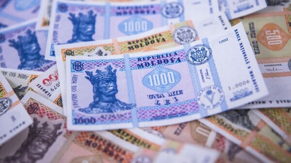   © Sputnik / Yana Zaharova