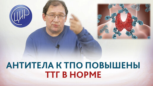 Повышены антитела к ТПО при нормальном ТТГ. Надо ли принимать L-тироксин? Игорь Иванович Гузов.