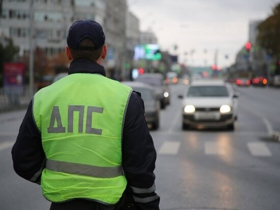     Густаво Зырянов / "МК в Новосибирске"