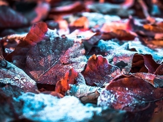     ФОТО: PIXABAY