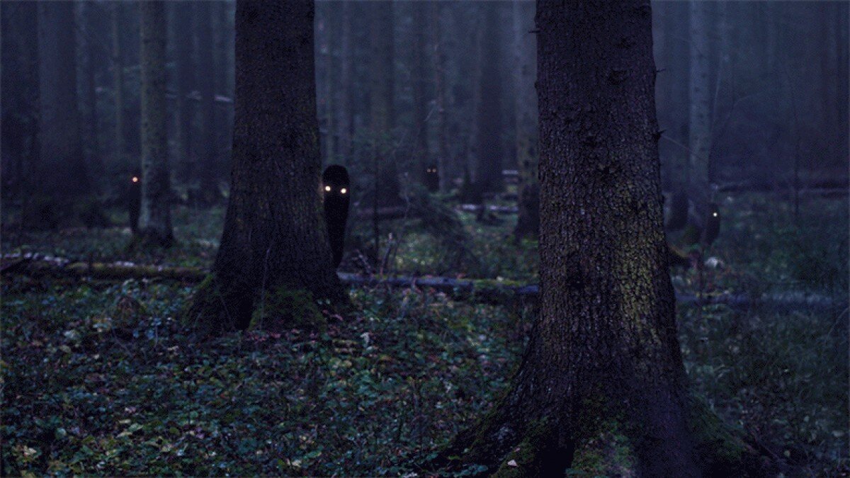 Темный лес the Woods 2005