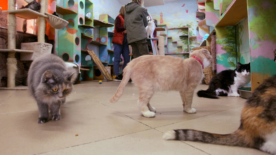    Фото: Роман Яровицын / Коммерсантъ