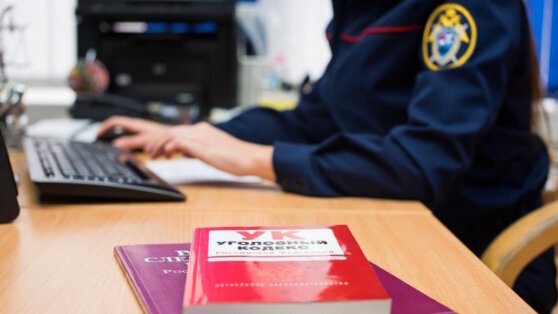    Следственный комитет России возбудил дело после крушения самолета в Непале Чойгана Салчак