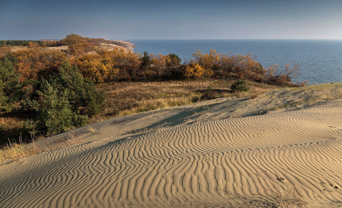 Куршская коса калининград пляж. Балтийское море куршская коса. Где поесть на куршской косе. Куршская коса калининград. Поселок рыбачий куршская коса.