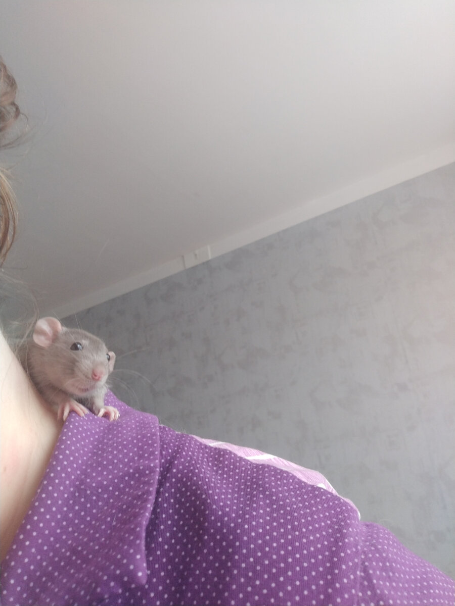 Первый день дома