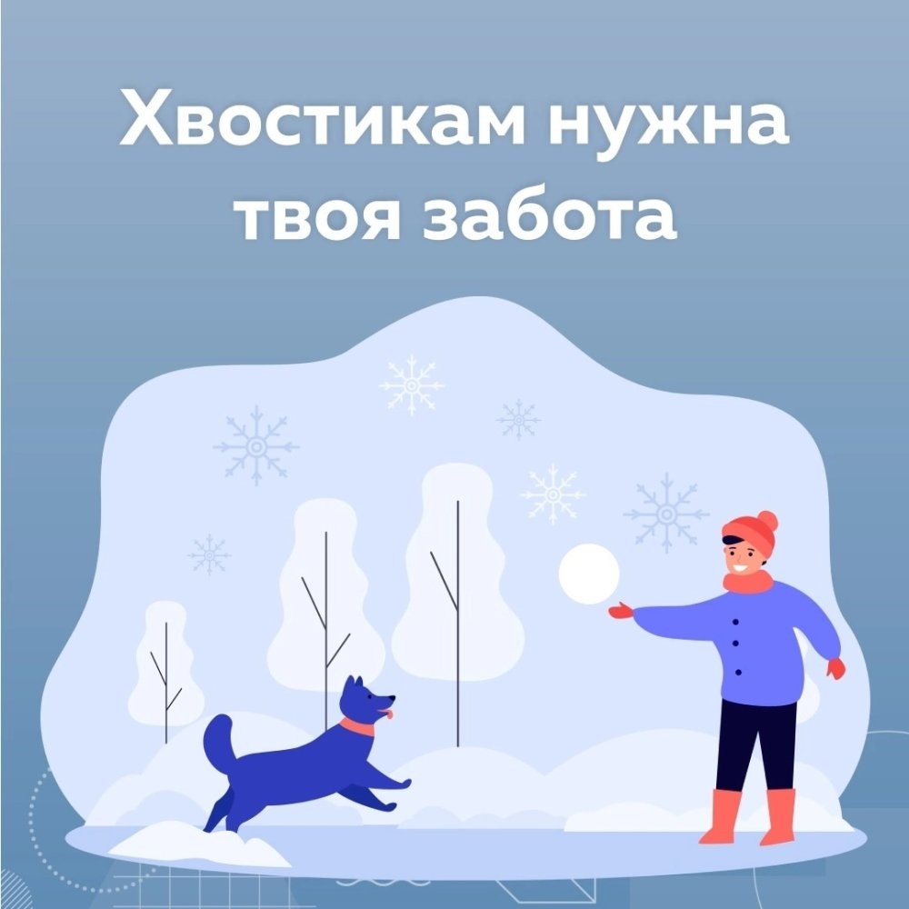    Братьям меньшим – забота и поддержка