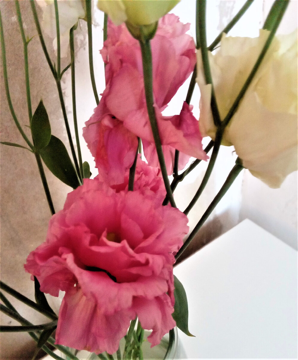 Нежность. Фото автора канала.