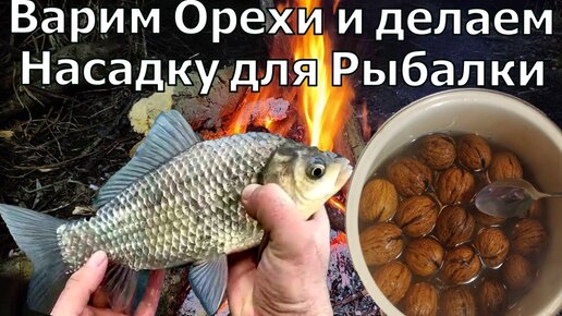 Насадки, используемые для ловли трофейного карпа (ВИДЕО) — Карповая рыбалка в Украине