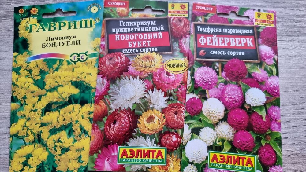 Сухоцветы семена название и фото цветов
