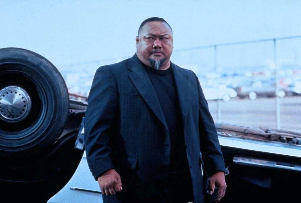 фото из открытого доступа.