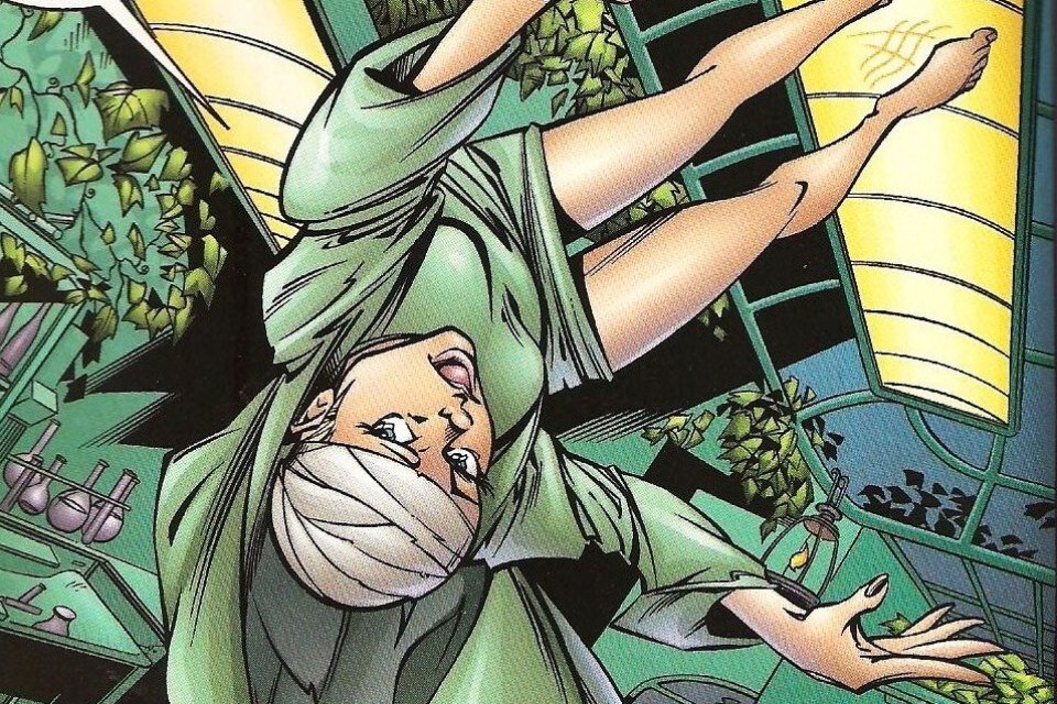 Фрагмент панели из комикса Пола Дини «Бэтмен: Харли Квинн»