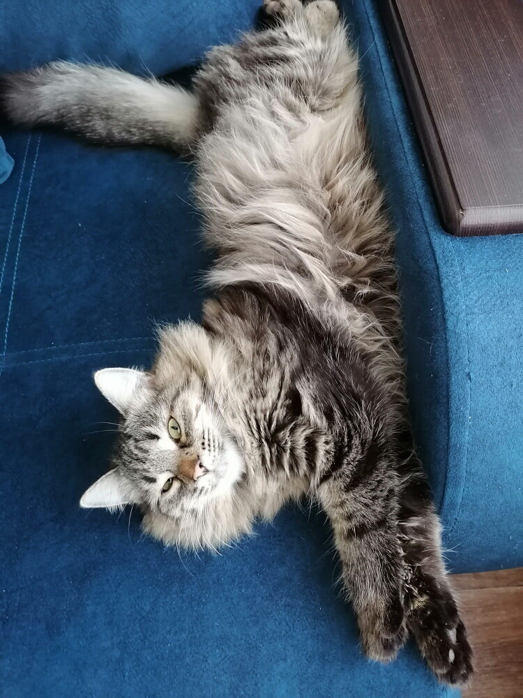 Таша, фото автора