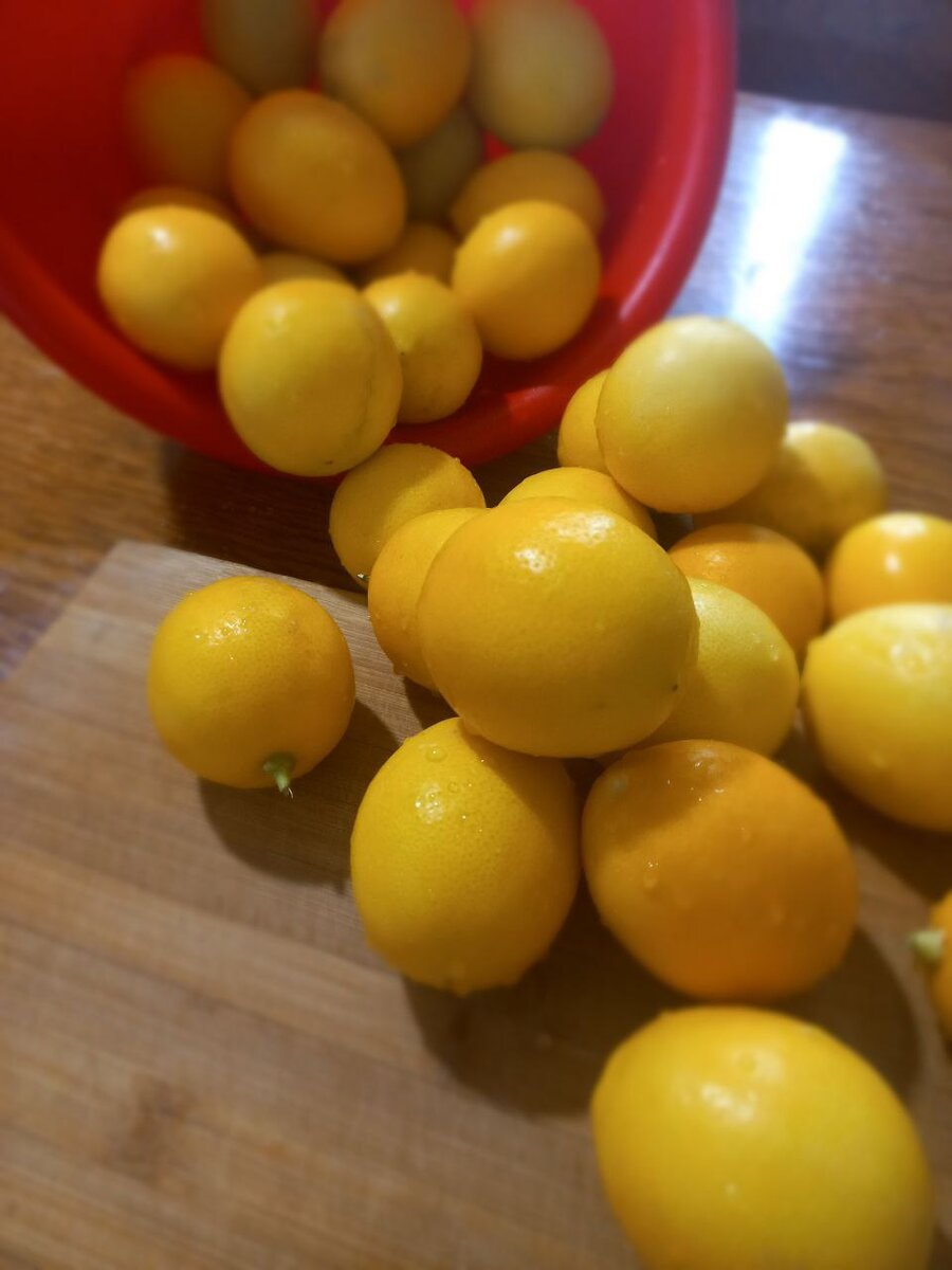 хорошего много не бывает