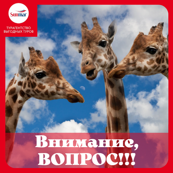 Опрос