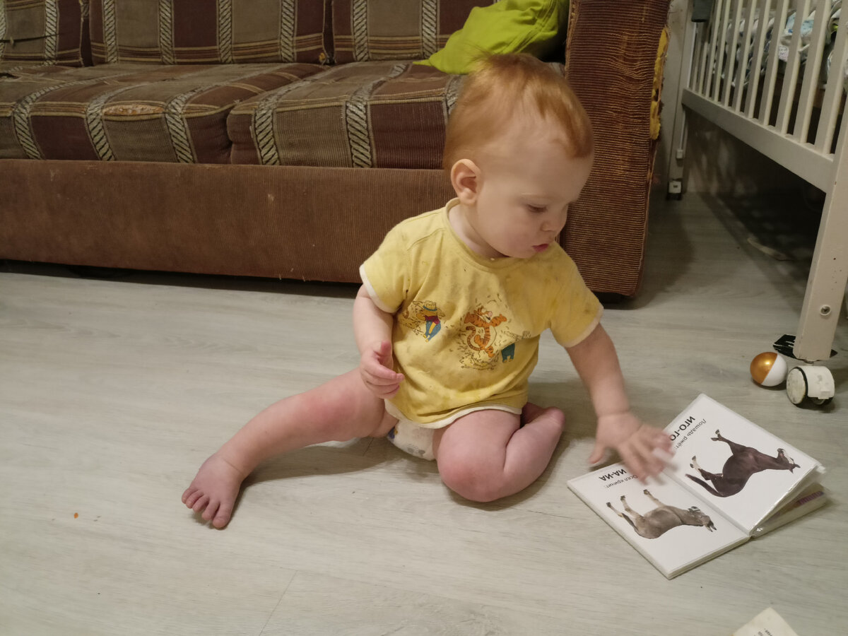 Лёня выясняет, как выглядит осёл