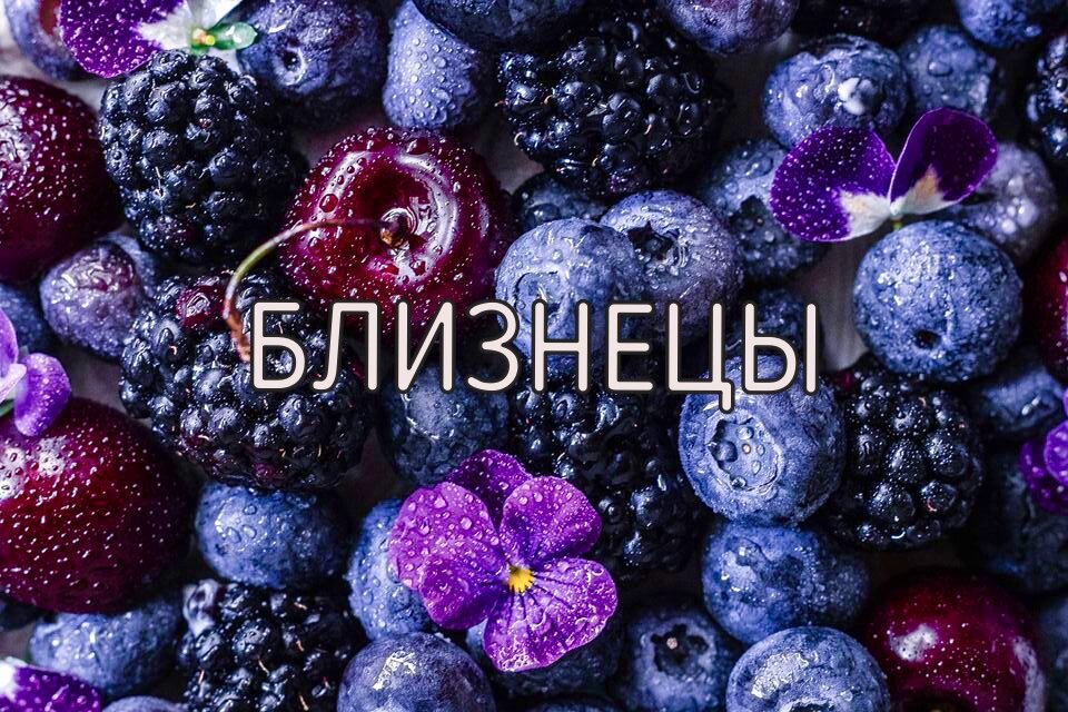 Козерог (22 декабря - 19 января):